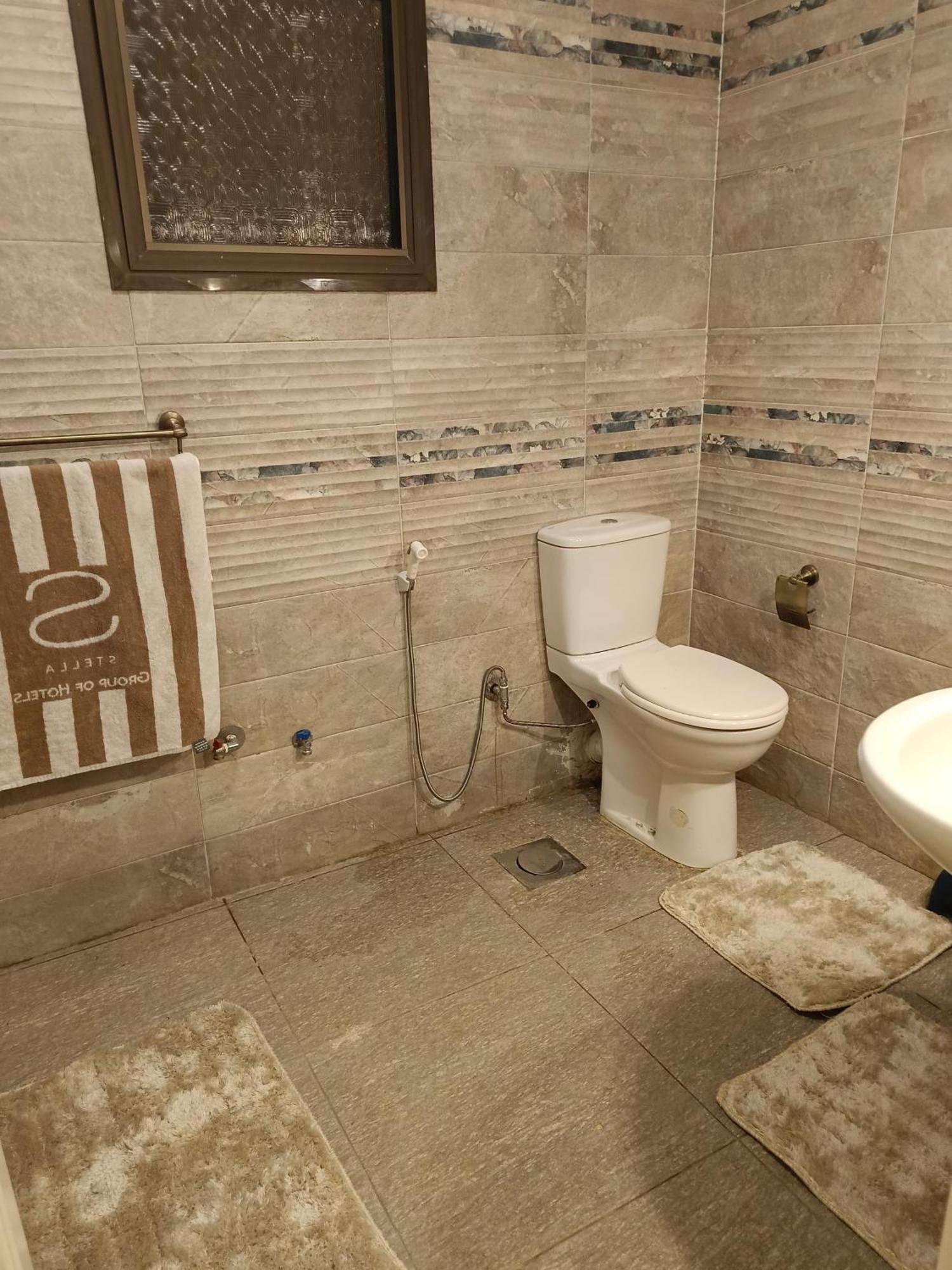 الزمالك Apartment Cairo